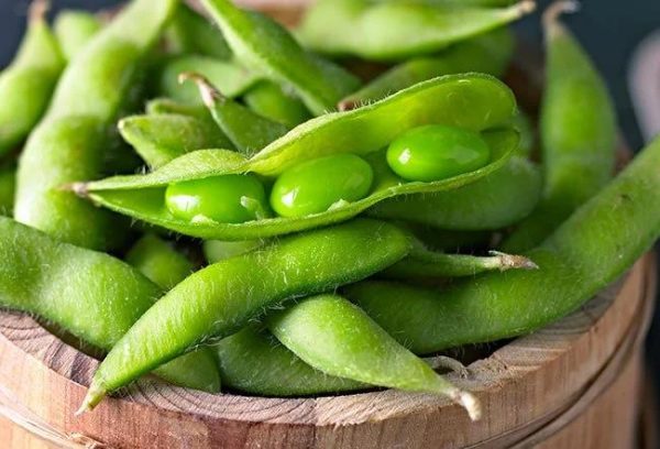 Edamame (japanse soyabonen)